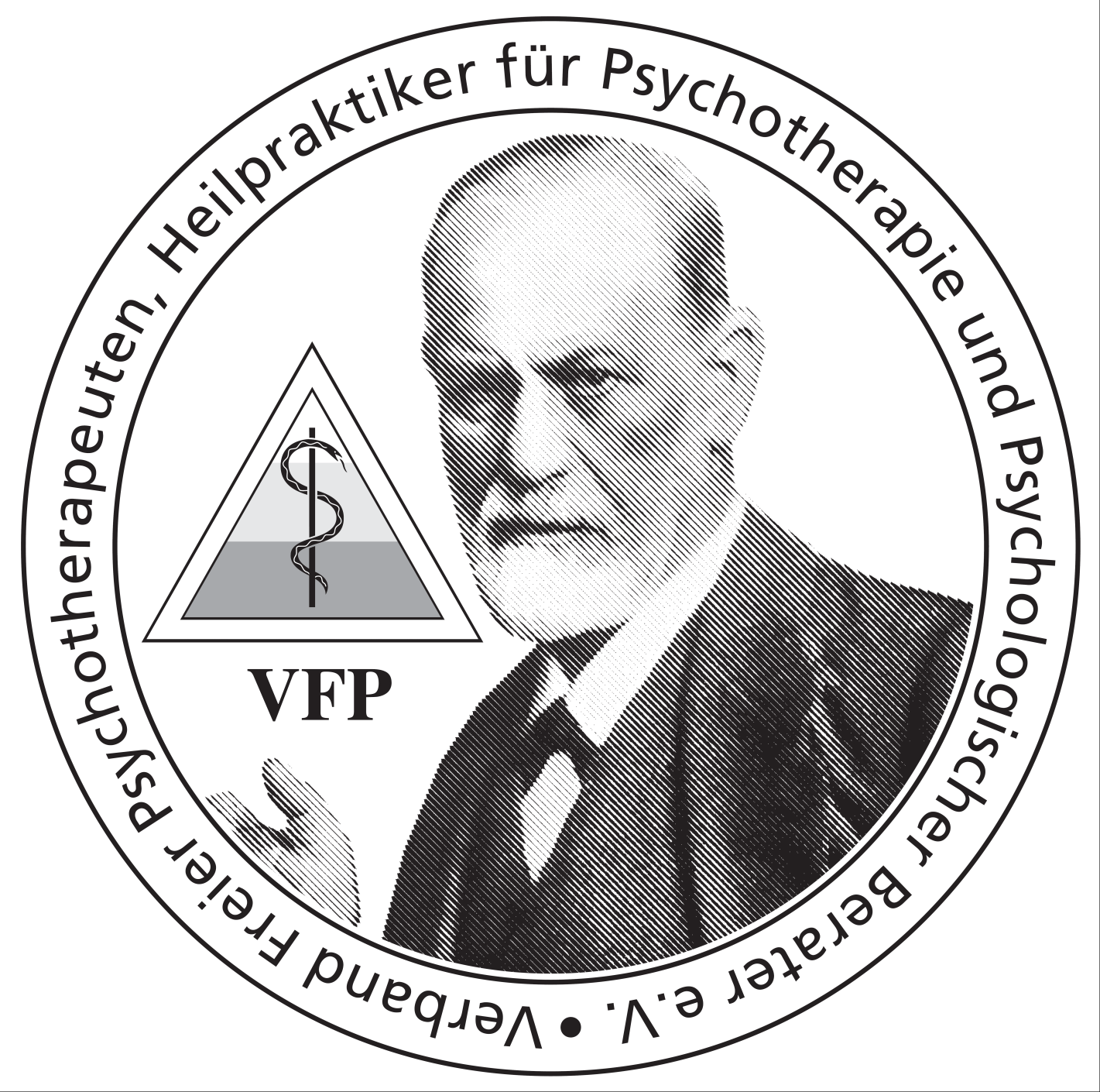 vfp_logo3